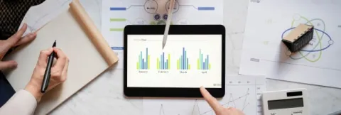 Insights and Analytics