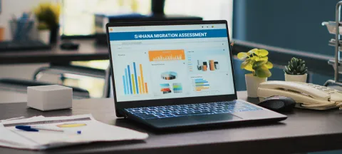 Celerite Assessment Webinar for S/4Hana Migration
