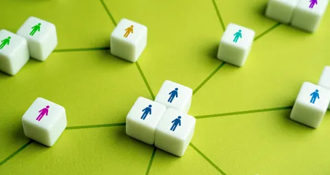 organisational structure