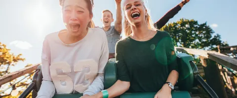 People in a Theme Park