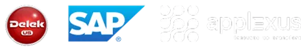 Delek, SAP and Applexus logo