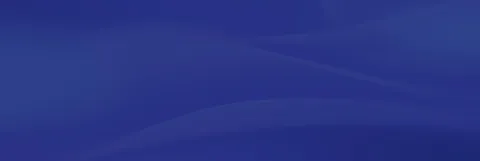 s4hana-in-the-age-of-ai-webinar-approach